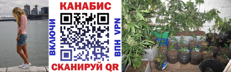 гидра ссылка  Нижняя Тура  Марихуана THC 21%  где продают  